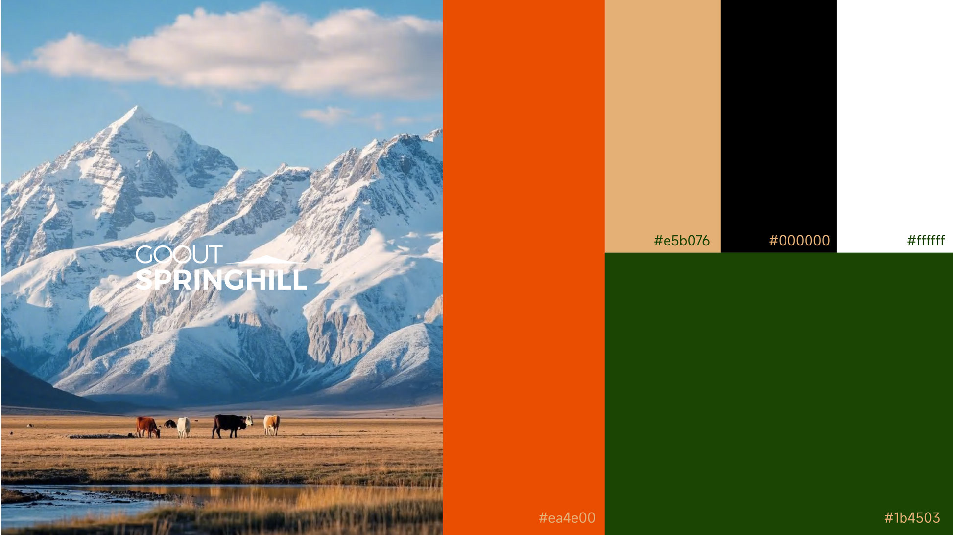 Agent Program - gooutspringhill