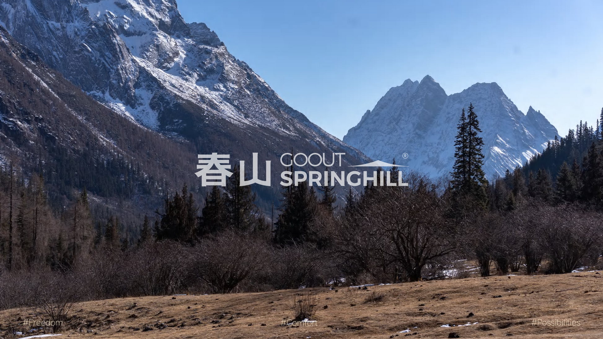 Agent Program - gooutspringhill