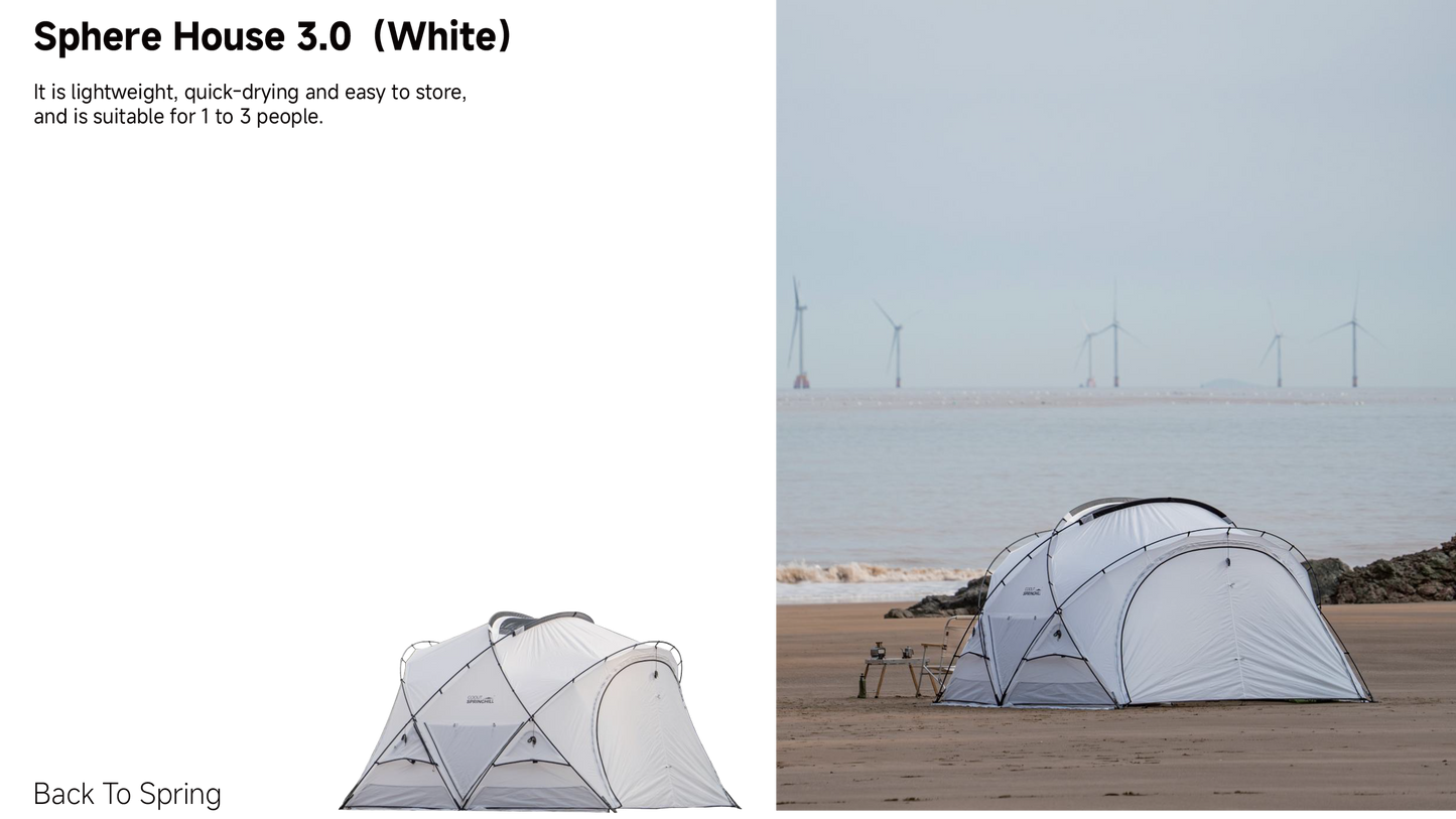 Agent Program - gooutspringhill