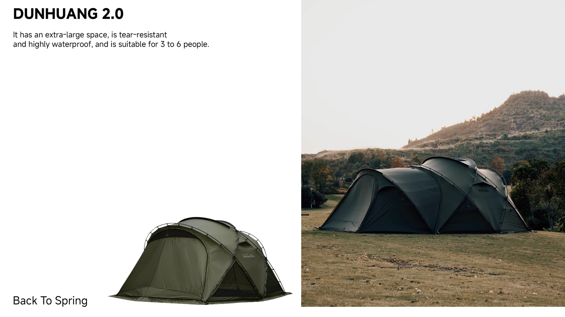 Agent Program - gooutspringhill