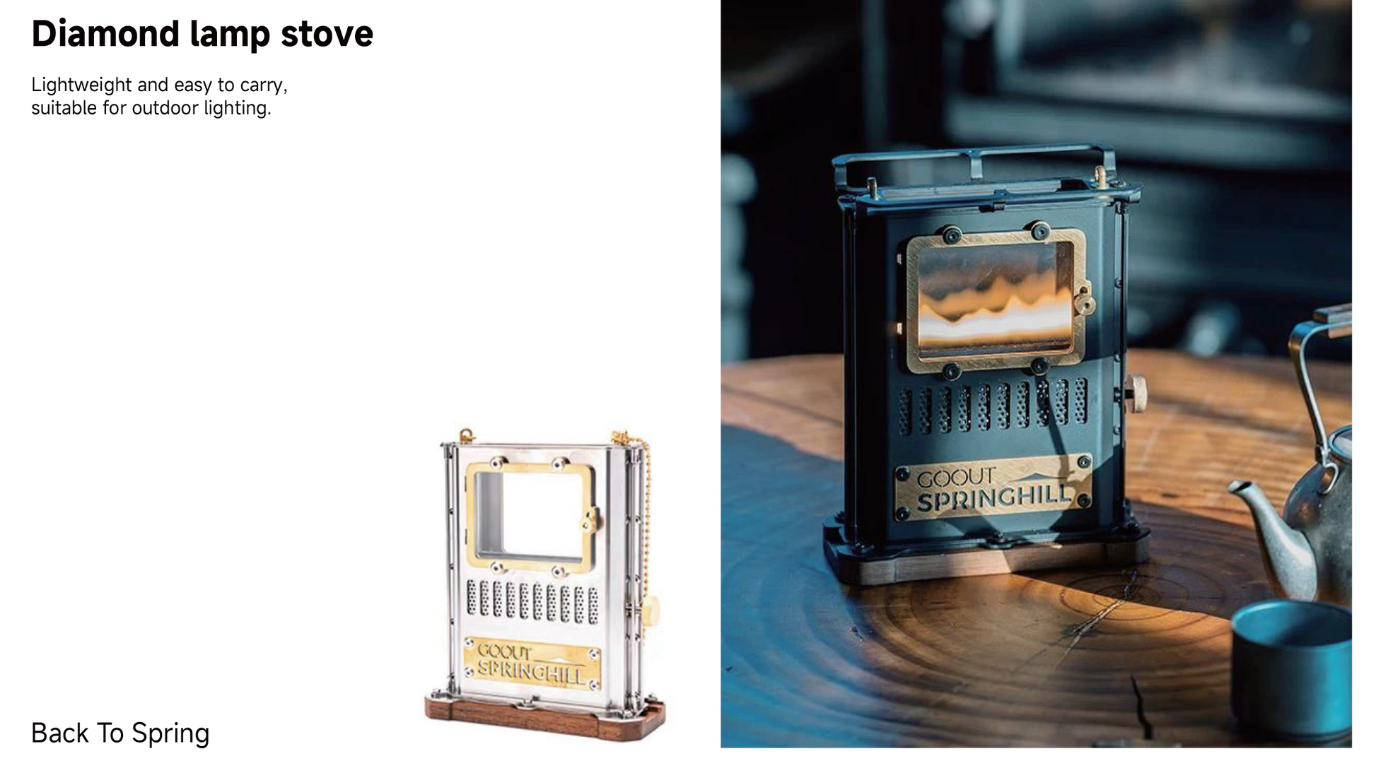 Agent Program - gooutspringhill