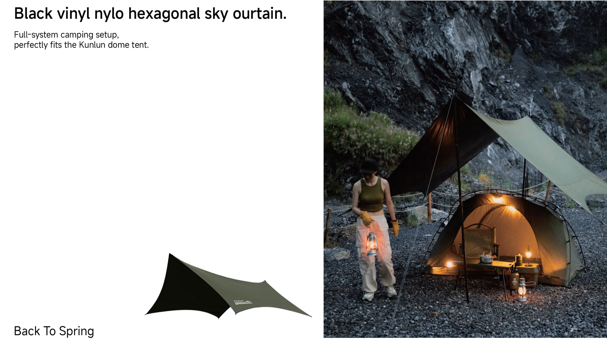 Agent Program - gooutspringhill