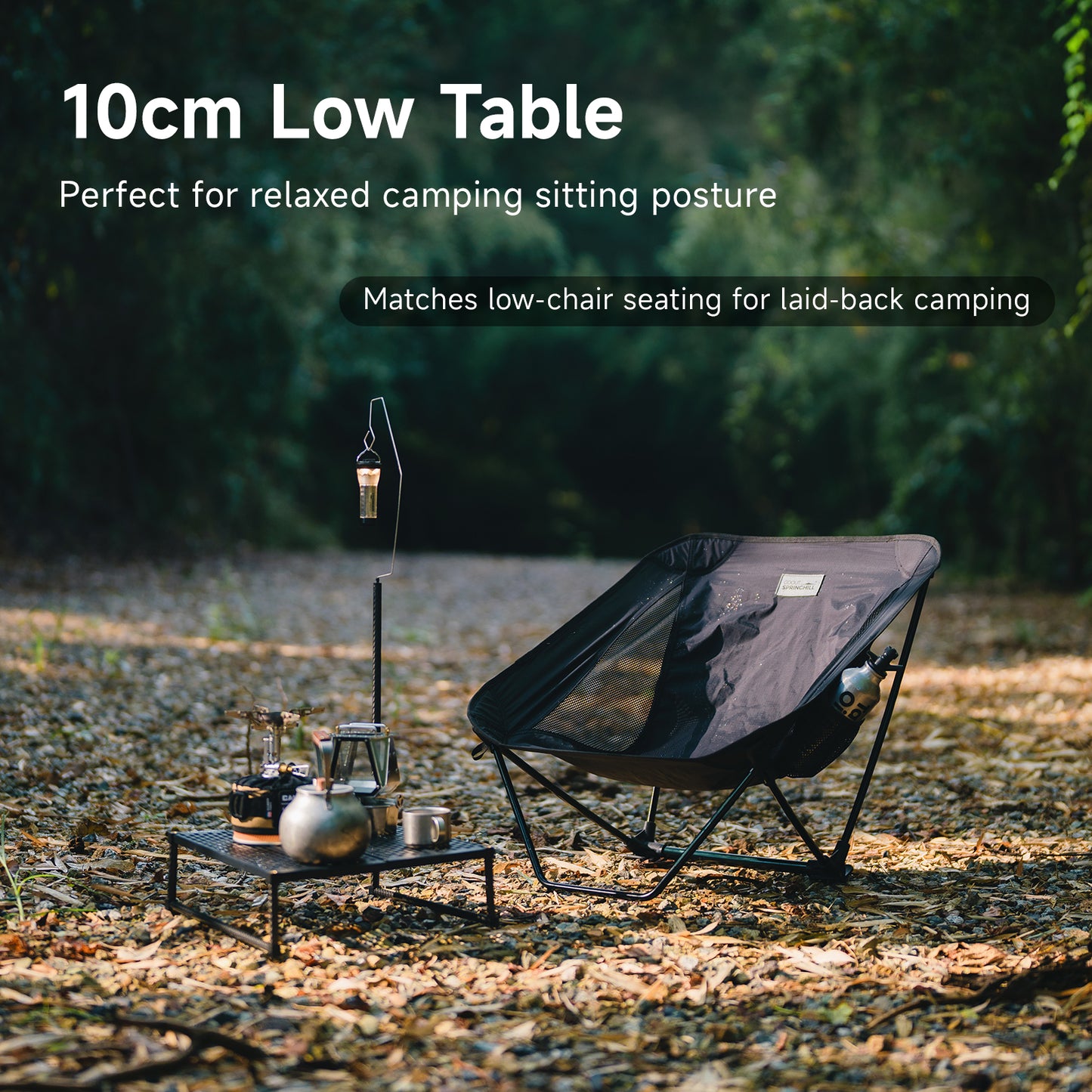 Springhill Carbon-Fiber Low Table