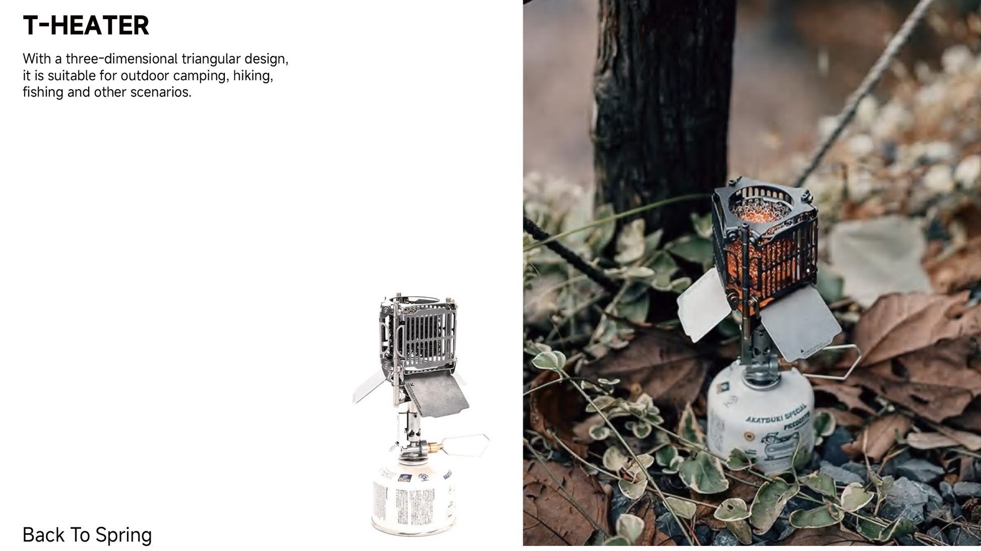 Agent Program - gooutspringhill