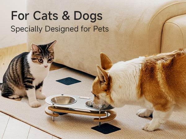 Pet Bowl - gooutspringhill
