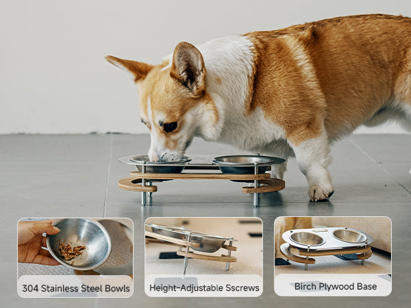 Pet Bowl - gooutspringhill