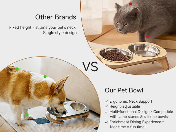 Pet Bowl - gooutspringhill