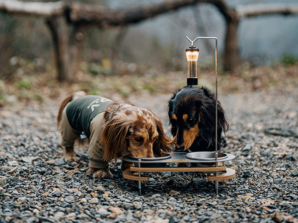 Pet Bowl - gooutspringhill